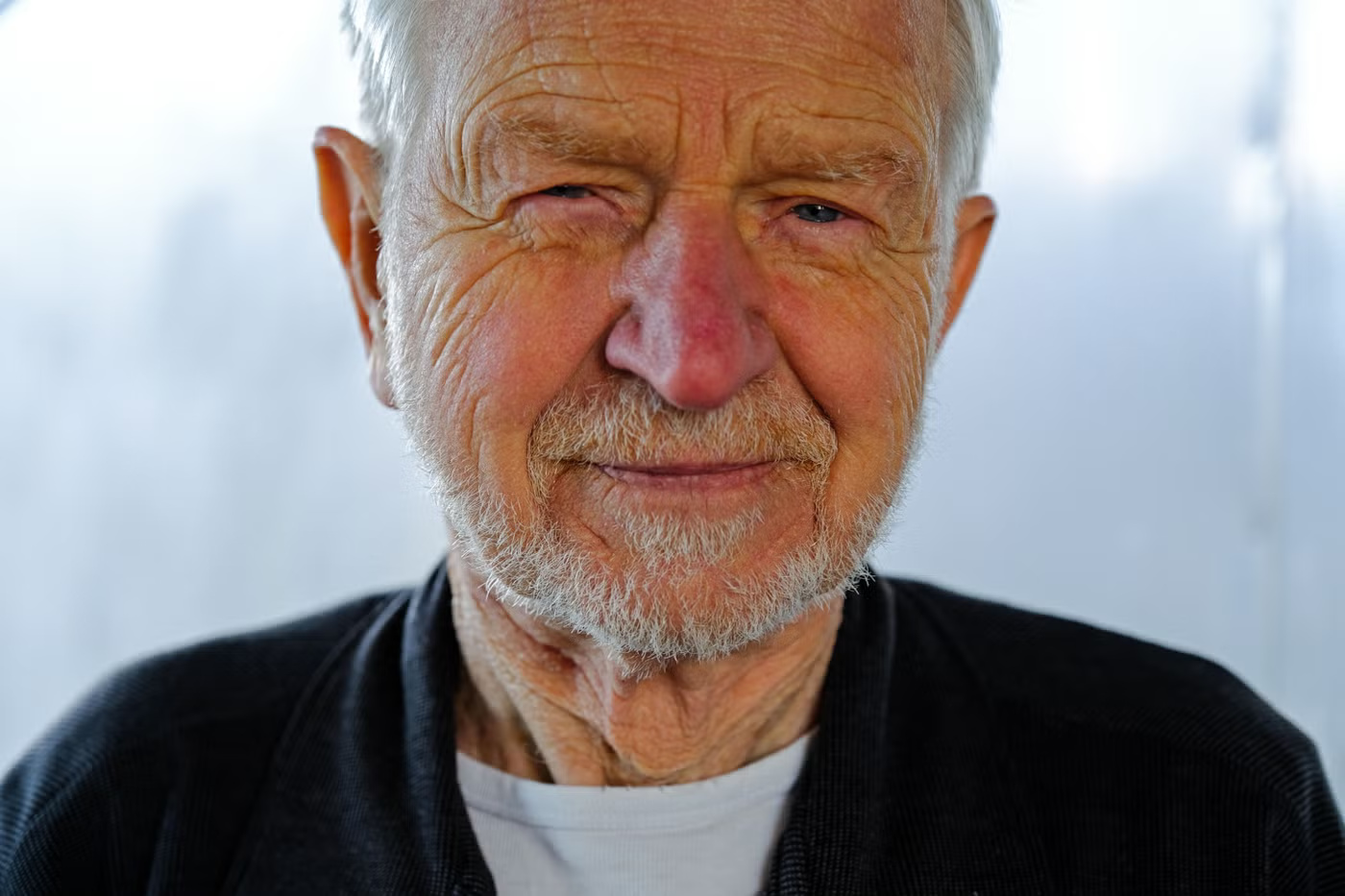 Den obegripliga begripligheten — Konstakademien 2012 — sida 1