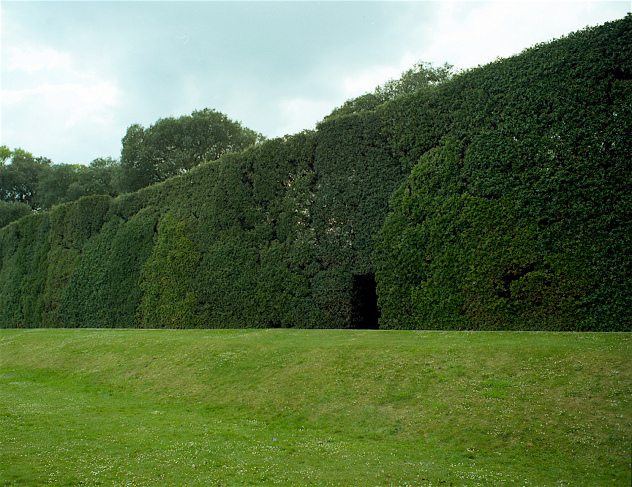 En geometrisk trädgård, Herning, Danmark