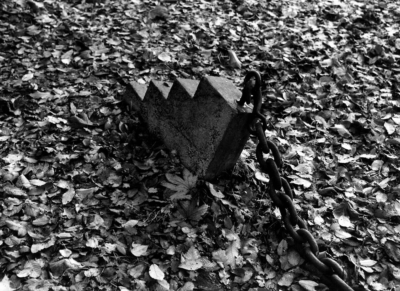 Biennale Middelheim Antwerpen 1979 — bild 9