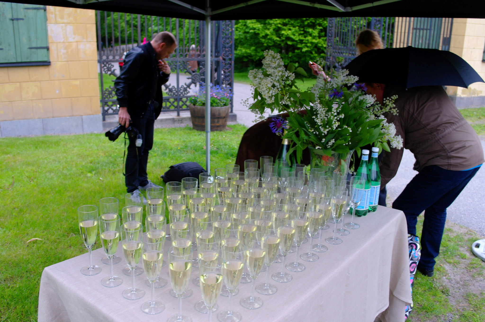 Återinvigning av Haga Norra gångbro och parkens skulpturutsmyckning 2015
