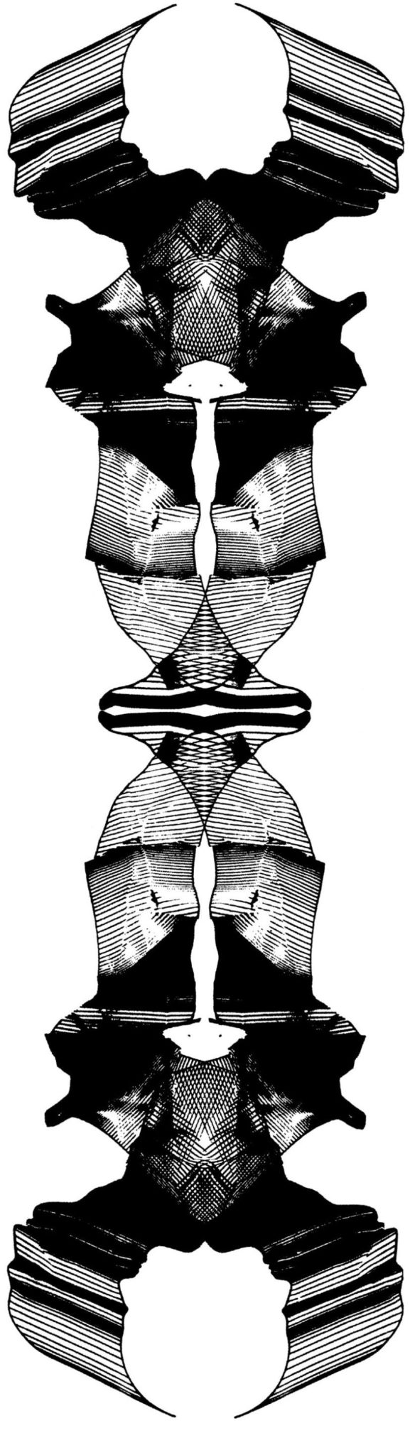 Grafik