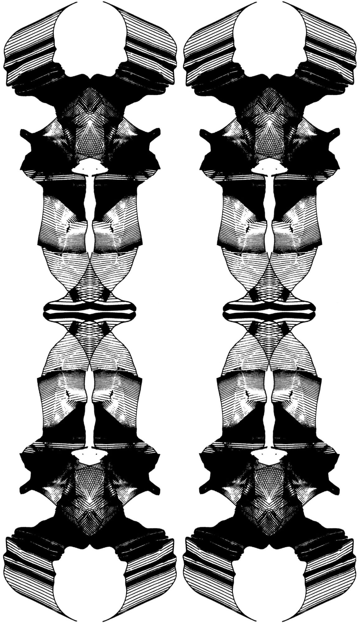 Grafik